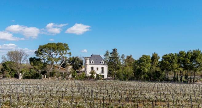 - Domaine Tarbouriech