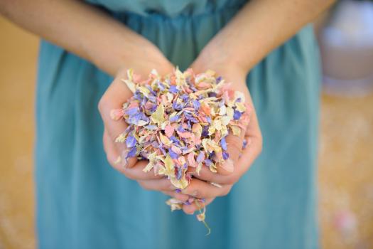 - Shropshire Petals Confetti