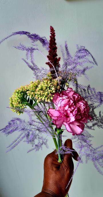 - Jens plants and florists