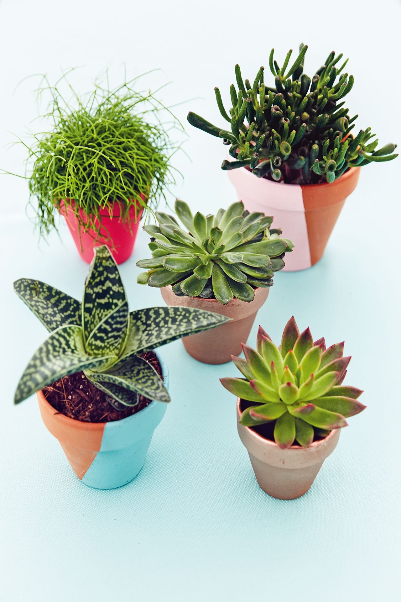 wedding, wedding ideas, cheap wedding favours, wedding favors