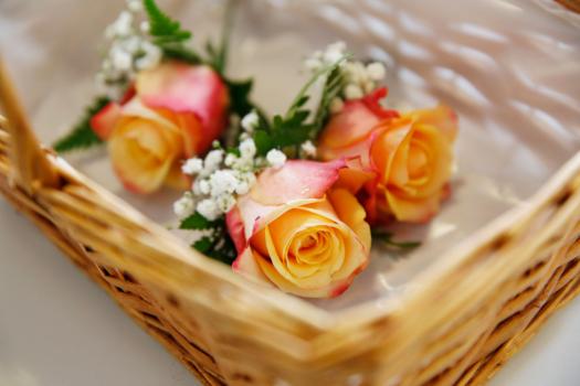 - Adam Burton Photography