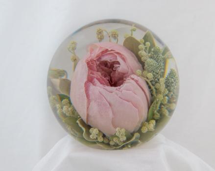 - flower preservation workshop