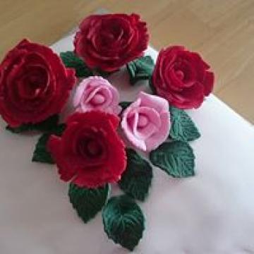 - cafe at kilcreggan