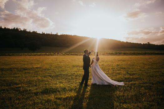 - Denbies Wine Estate