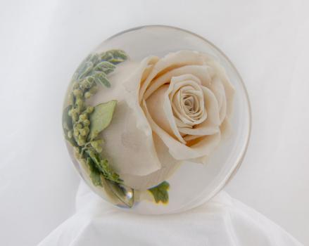 - flower preservation workshop