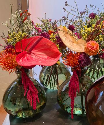 - Jens plants and florists