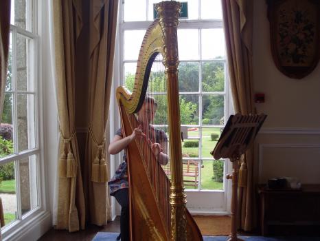 - Grace Kirkby Harpist