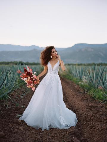 - Brides by Solo