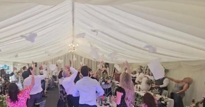 - The Singing Wedding Waiters