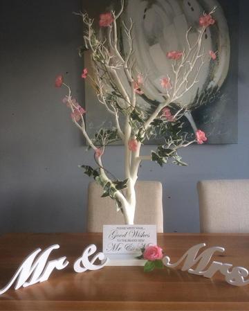 - Sugar Coated Sweet Treats